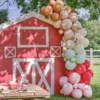 Ballonbue - Bondegård Fødselsdag