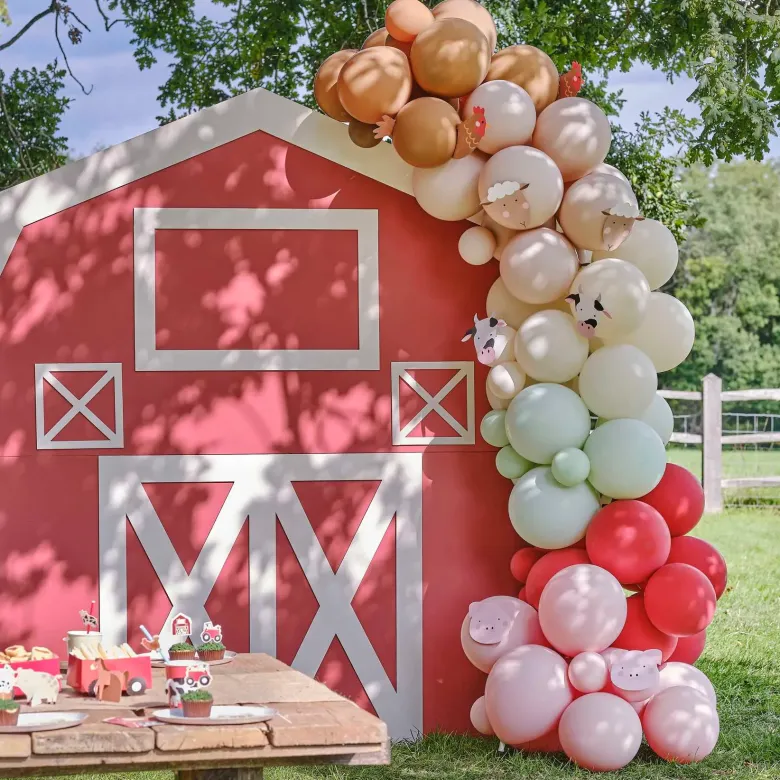 Ballonbue - Bondegård Fødselsdag
