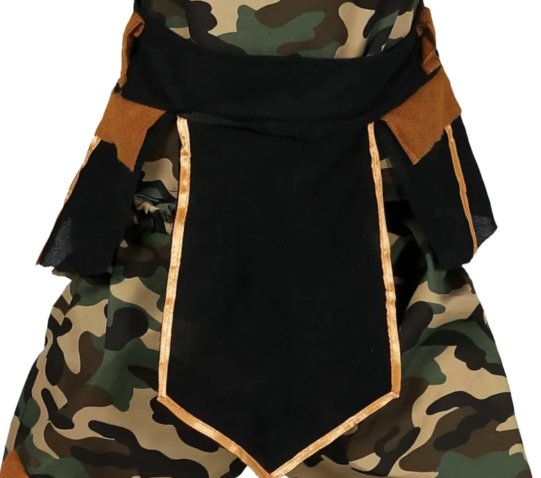Camouflage Ninja