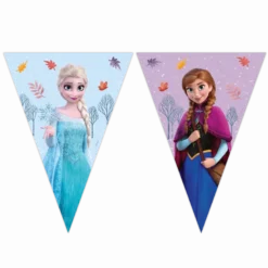 Frozen Vimpelguirlande