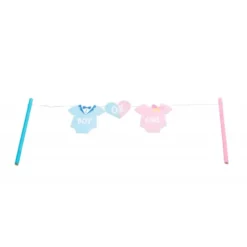 Gender Reveal Kagetopper - Boy or Girl?