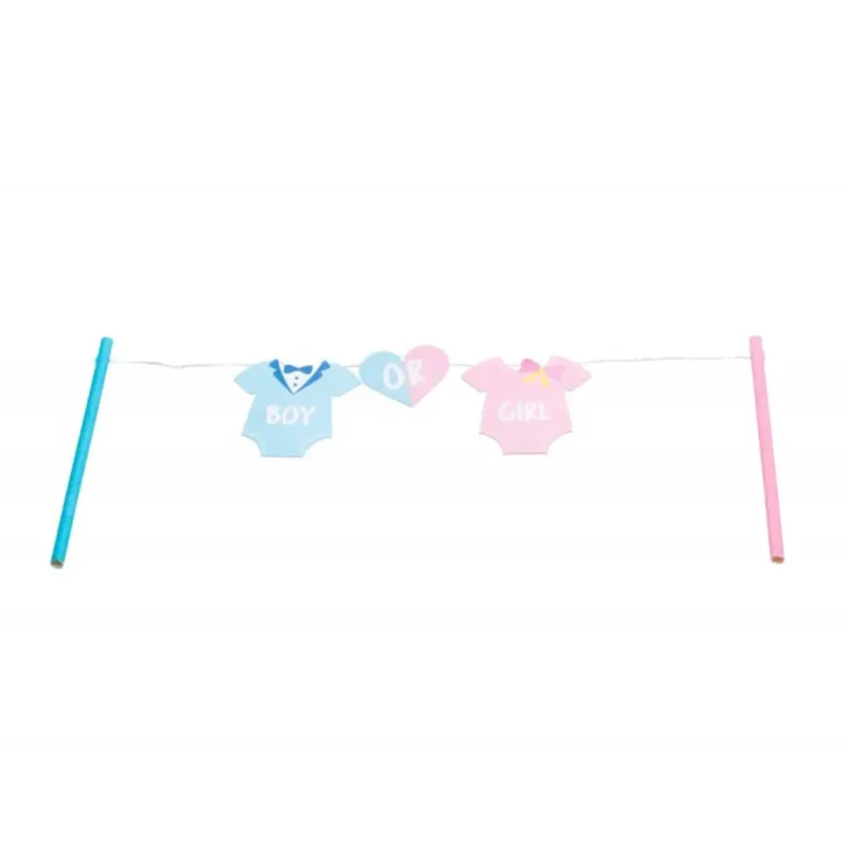 Gender Reveal Kagetopper - Boy or Girl?