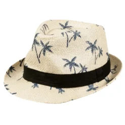 Hawaii Inspireret Sommerhat Med Palmer