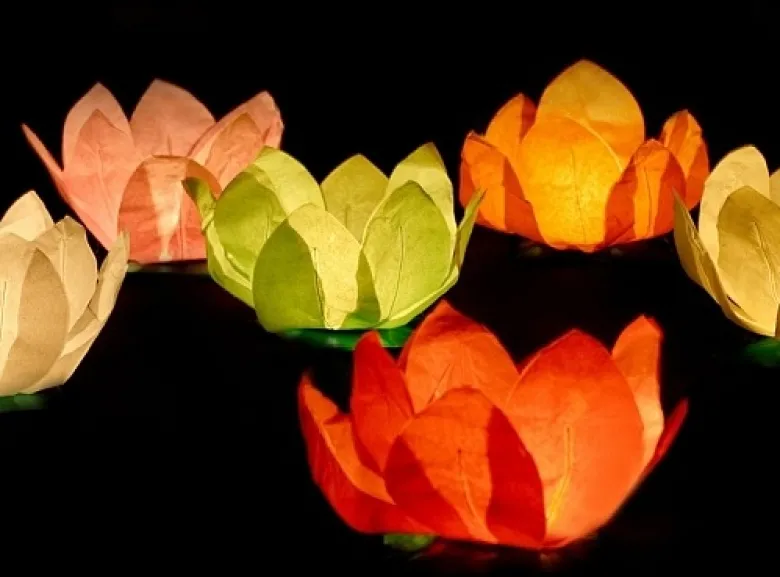Kinesiske lanterne - lotusblomst