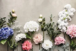 Kunstig Pæon Blomst 35 cm, Bonderosa