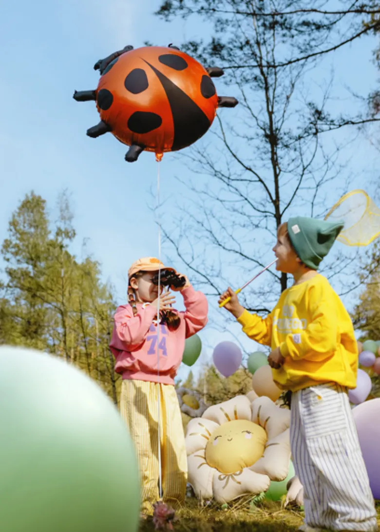 Mariehøne Folie Ballon, 85 X 83 cm, Mix