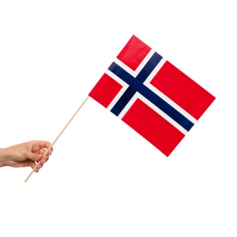Norske Papirflag, 10 stk.