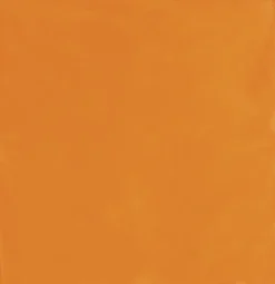 Orange Bandana