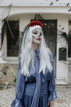 Paryk, Langt Hår, Sølv