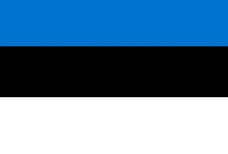 Stort Estlands Stof Flag, 90 x 150 cm