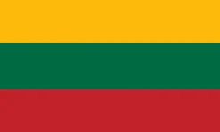Stort Litauen Stof Flag, 90 x 150 cm