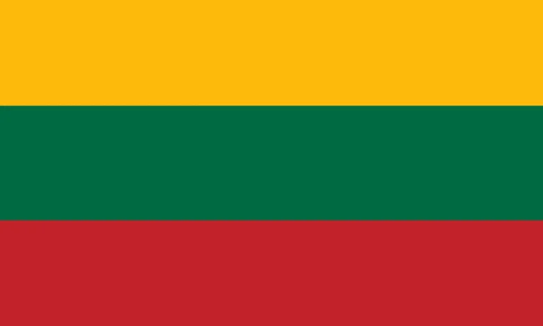 Stort Litauen Stof Flag, 90 x 150 cm