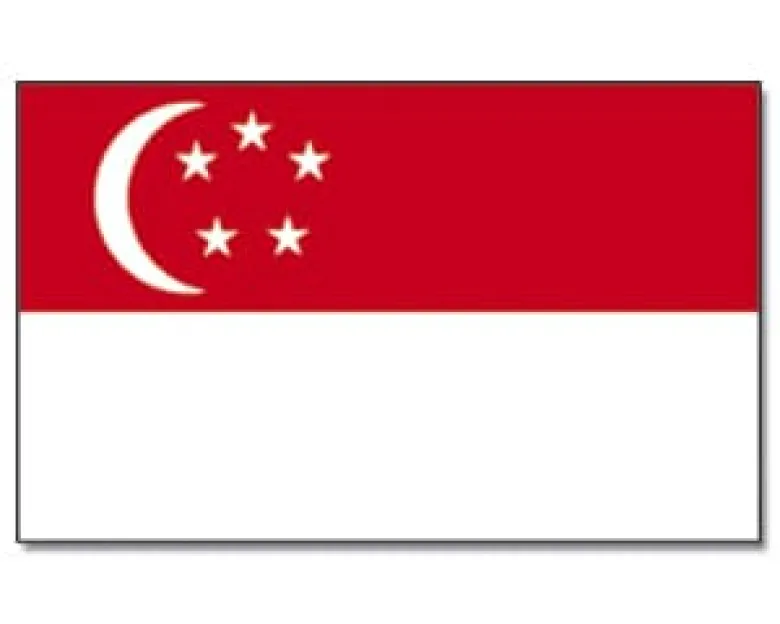Stort Singapores Stofflag, 90 x 150 cm