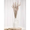 Tørret Hvede - Rosegold 65 cm, 260gr