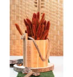 Tørret Rød Kolbehirse 74 cm, 100gr
