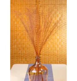 Tørret Terracotta Pohuehue 85-90 cm, 50 stk.